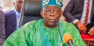 Tinubu’s Targeted Reforms and the Changing Direction of Nigeria
