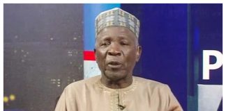 State Police Debate: Galadima Warns Against Turning Security Outfit Into Political Machinery