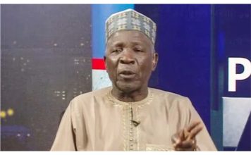 State Police Debate: Galadima Warns Against Turning Security Outfit Into Political Machinery