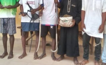 Security Boost as Police Nab 10 Suspected Criminals in Minna