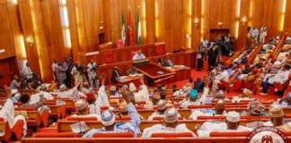 Nigerian Customs Exonerated as Senate Committee Dismisses N62.2bn Under-Remittance Claim