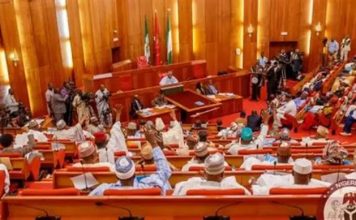 Nigerian Customs Exonerated as Senate Committee Dismisses N62.2bn Under-Remittance Claim
