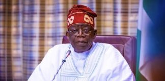 Tinubu Encourages Nigerians to Criticise and Disagree With His Government