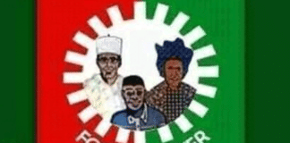 Labour Party Selects Former Council Chairman Obeya for Benue Deputy Guber Race