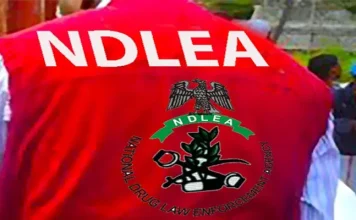 NDLEA Arrests 262 Suspected Drug Offenders In Cross River