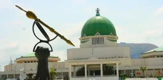 NCYP Applauds Tinubu, Lawmakers Over State Police Bill Amendment