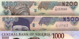 Nigeria’s Foreign Reserves Increase But UAE Loan Risks Remain – Report