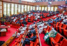 National Assembly Divided As Senate, House Pass Separate State Police Proposals