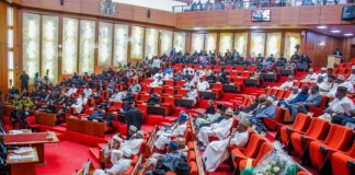 National Assembly Divided As Senate, House Pass Separate State Police Proposals