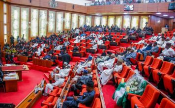 National Assembly Divided As Senate, House Pass Separate State Police Proposals