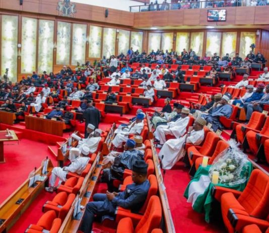 National Assembly Divided As Senate, House Pass Separate State Police Proposals