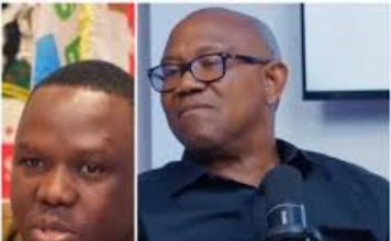 Bwala Knocks Rufai, Urges Him to Join Peter Obi’s Political Campaign