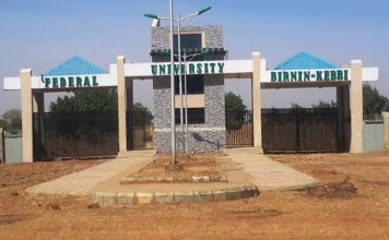 Kebbi University Student in 300 Level Murdered by Suspected Thieves Off Campus