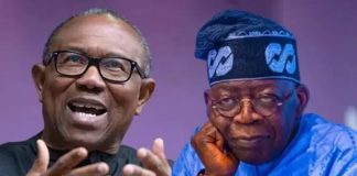 Presidency Fires Back at Peter Obi Over Tinubu Resignation Call, Says ‘You Need Schooling’