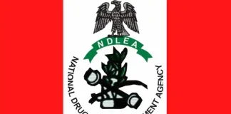 Federal Government Moves To End Fine Option For Drug Convicts