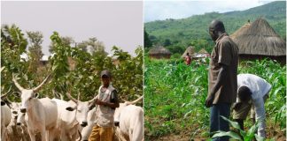 Farmers-Herders Clash Claims Eight Lives In Kebbi State