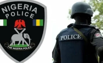 Nigeria Police Explain Move On Recruiting Reformed Terrorists