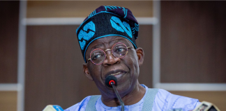 2027 Elections: Opposition Won’t Derail Tinubu’s Agenda — APC Deputy Chair