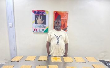 N10 billion Cocaine, Loud, opioids intercepted at Lagos ports as NDLEA arrests kingpins