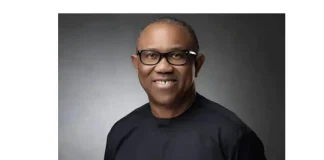 Peter Obi Has What It Takes to Fix Nigeria’s Security, Economy – NDC Chieftain