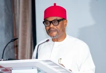 Former Minister Uche Nnaji Nabbed At Abuja Airport