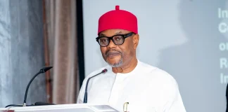 Former Minister Uche Nnaji Nabbed At Abuja Airport