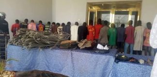 Yobe Police Arrest 448 Suspects, Achieve 152 Convictions in One Year