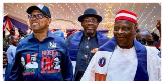 2027 Election: Kwankwaso Supports Peter Obi’s One-Term Commitment