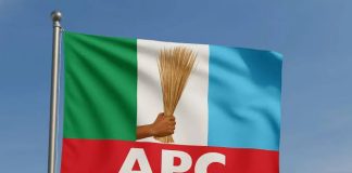2027 Elections: APC Unveils 27 Governorship Candidates