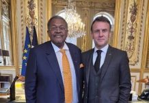 Mike Adenuga Chosen Once More by France for Ambitious Cultural Landmark Project