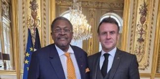 Mike Adenuga Chosen Once More by France for Ambitious Cultural Landmark Project