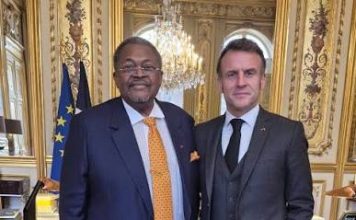 Mike Adenuga Chosen Once More by France for Ambitious Cultural Landmark Project