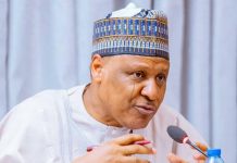No Harm in Nigeria Borrowing Responsibly, Information Minister Insists