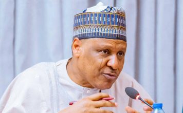 No Harm in Nigeria Borrowing Responsibly, Information Minister Insists