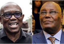 Coalition Advocates Unified Presidential Candidate to Strengthen Opposition