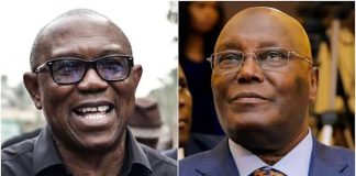 Coalition Advocates Unified Presidential Candidate to Strengthen Opposition