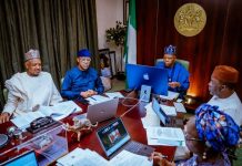 NEC Clears Gazelle Refinancing Plan to Strengthen Nigeria’s Financial Liquidity