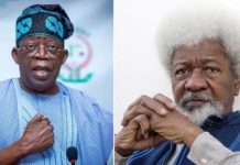 Soyinka Demands Urgent Action as Killings Persist Nationwide