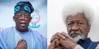 Soyinka Demands Urgent Action as Killings Persist Nationwide