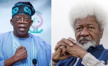 Soyinka Demands Urgent Action as Killings Persist Nationwide